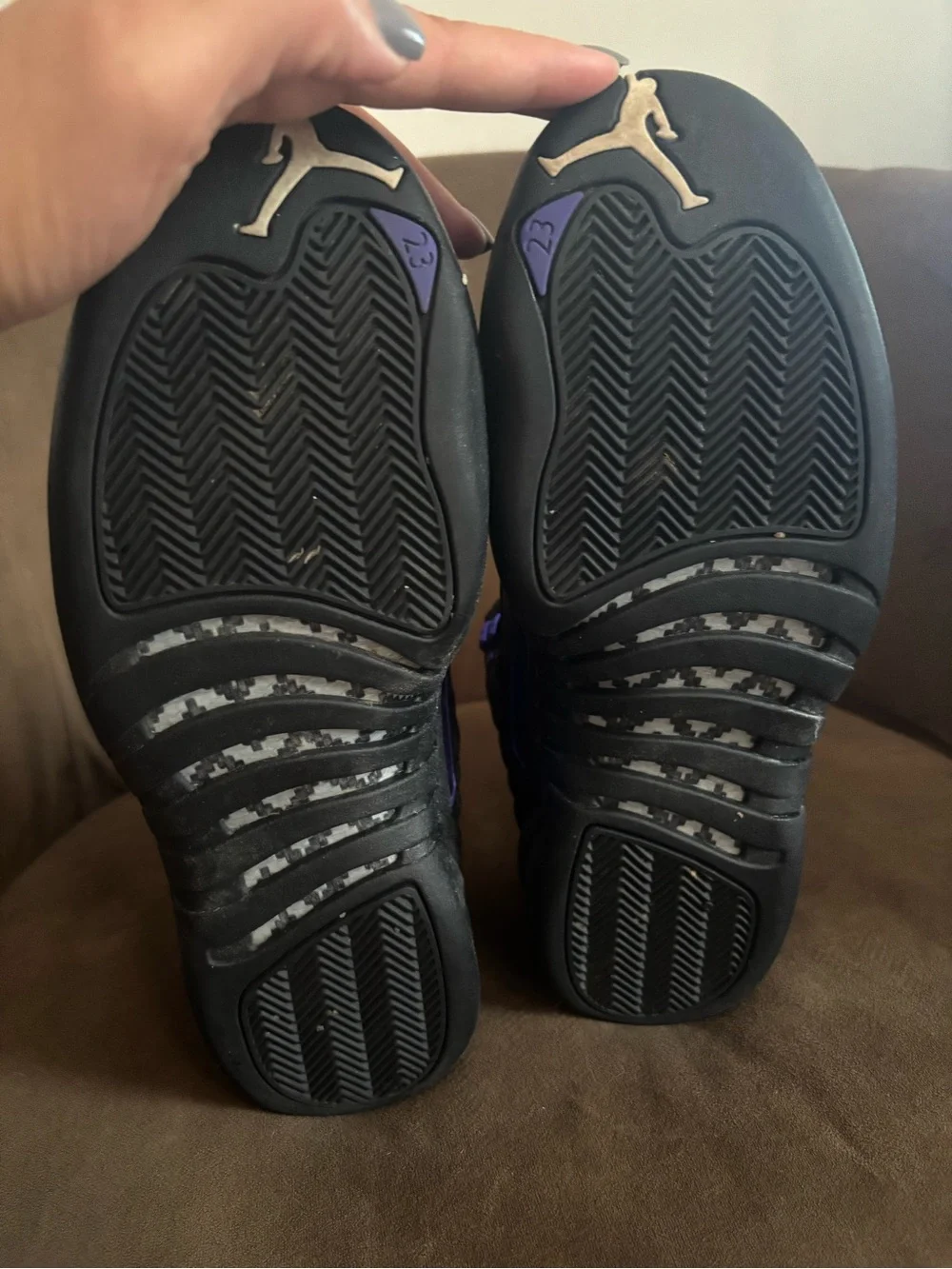 Air Jordan 12 “Dark Concord” (CT8013-005)